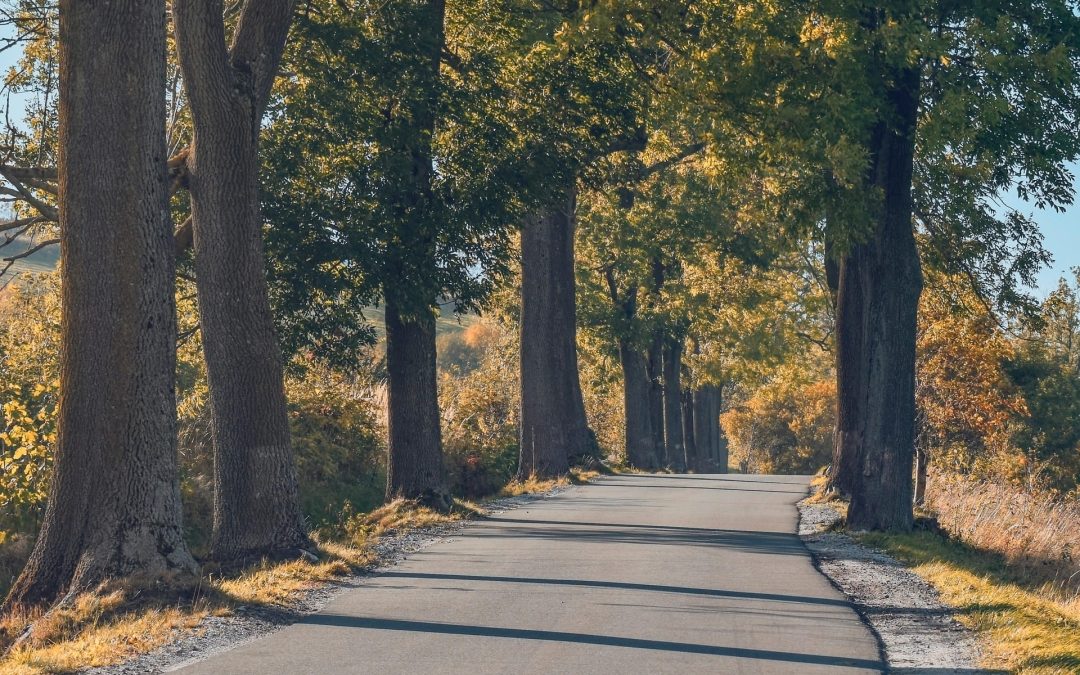TCA resulta adjudicataria de los trabajos de Actualización de la red de trasportes Galicia