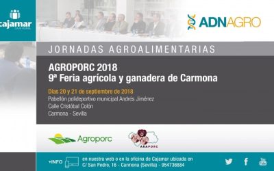 Feria agrícola-ganadera de Carmona Agroporc XI 2018