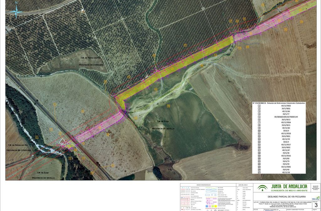 Edición GIS Cartografía del Deslinde las Vías Pecuarias de Andalucía