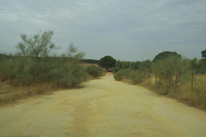 Redacción de Proyectos de Mejora de Caminos en los TM de Carmona, Viso y Mairena del Alcor. Proyecto Conecta2